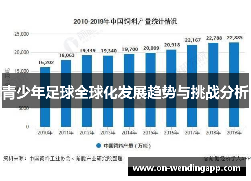 青少年足球全球化发展趋势与挑战分析