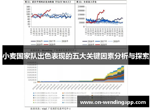 小麦国家队出色表现的五大关键因素分析与探索
